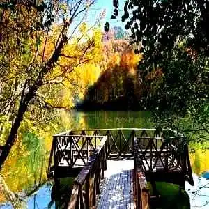 Bolu Evden Eve Nakliyat