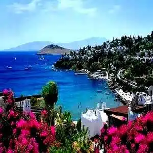 Dalaman Evden Eve Nakliyat